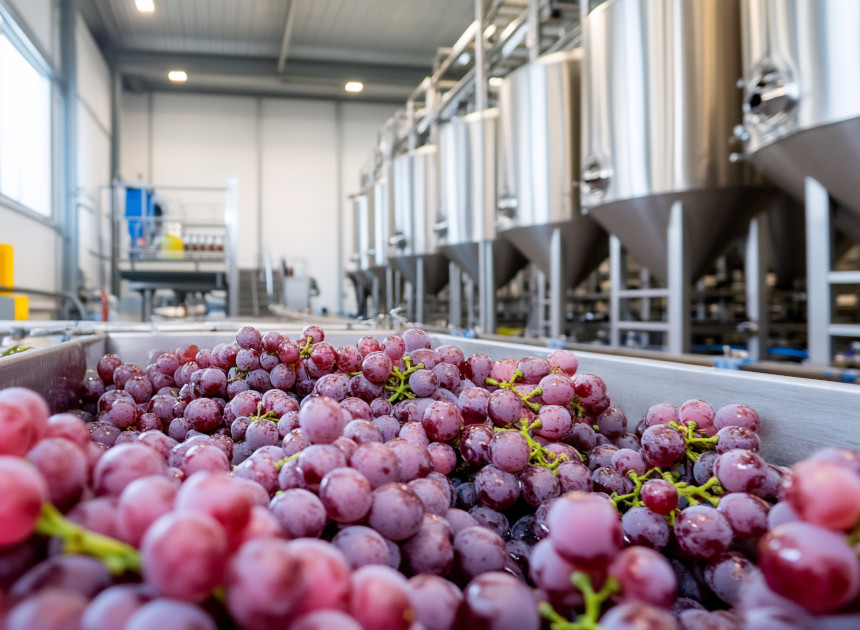 Zarządzanie procesami 