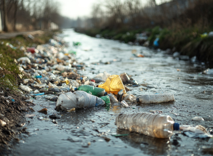 Ecology and Environmental Protection